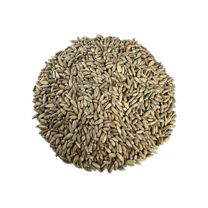 Grains de seigle en gros approvisionnement en vrac avec qualité d'exportation internationale - Product Image 5