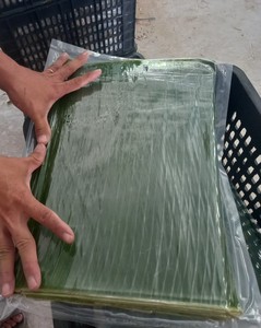 Hojas de plátano congeladas al por mayor de calidad premium ideal para restaurantes vendedores de comida ambulante y suministros de catering - Product Image 2