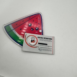 Nouveauté : plaque magnétique pour cils avec logo personnalisé, extensions de cils, triangle pastèque, carreaux en acier inoxydable, design floral diamant - Product Image 4