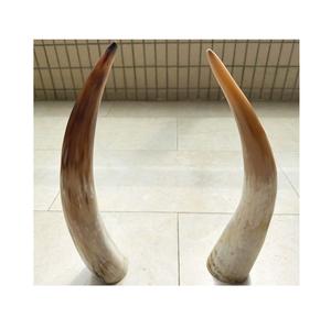 Auténtico cuerno vikingo para beber, taza rústica pulida, jarra de fiesta de Guerrero medieval, recipiente de hidromiel nórdico natural tallado - Product Image 2