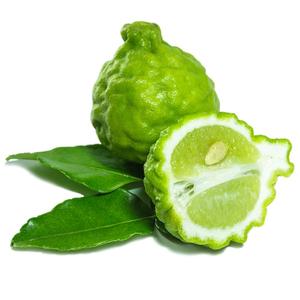 น้ำมันใบมะกรูดออร์แกนิก | น้ำมันใบมะกรูด makrut | ส้มฮิสทีเรีย l. น้ำมัน-น้ำมันหอมระเหยกลั่นไอน้ำบริสุทธิ์และเป็นธรรมชาติ - Product Image 4
