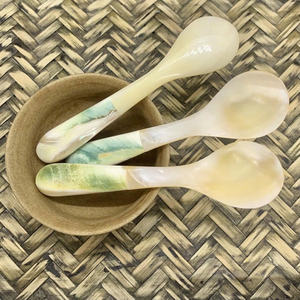 Cuchara de concha marina de Vietnam disponible para venta al por mayor y entrega mundial - Product Image 3