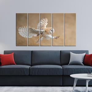 Tableau sur toile élégant avec hibou-faisane : Avant l'attaque, décoration murale animale, lot de 5 toiles - Product Image 1