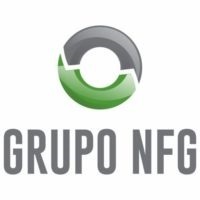 Nfg Consultoria Assessoria e Treinamento LTDA logo