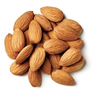Wholesale Original 500g Dried Almonds with Salt Mixed Nuts Snack Food Ingredients Salty Taste Adult Almond Kernel
