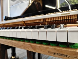 เปียโนแกรนด์ Yamaha C3B สภาพดีเยี่ยม จัดส่งรวดเร็ว งานฝีมือดั้งเดิม สวยงาม คีย์เรียบลื่น มือสอง 2153654 - Product Image 6