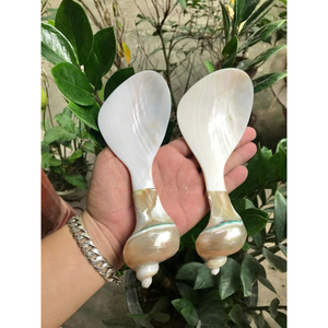 Reusable Seashell & Conch Spoons: Luxury, Wholesale, Eco-Friendly, High-Quality Mother of Pearl Handicraft Hot <b>Sale</b> 2025 - Product Image 2