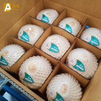 Verse Thaise jonge hele kokosnoten, zachte pulp, hydraterend water, tropisch/subtropisch fruit, kwaliteit Khey Taladthai merk, 18cm, 1,2kg