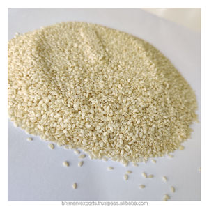 Graines de sésame blanches fraîches décortiquées, sans OGM, en provenance d'Inde - Product Image 2