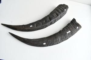 แตรควายน้ําแท้ 100% สีดําด้วยราคาที่แข่งขันได้คุณภาพสูงโดยโซนฝีมือส่งออกจากอินเดีย - Product Image 3