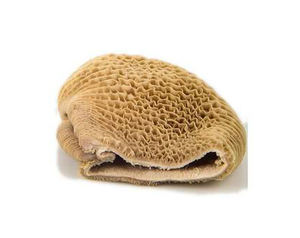 Tripas de Res Congeladas, Panza de Res y Tripas de Estómago de Res Congeladas, Empacadas al Vacío, a Bajos Precios - Product Image 2