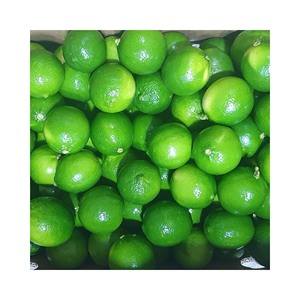 Lima fresca sin semillas de Vietnam/Precio barato FRESH SEEDLESS/Venta al por mayor LIMÓN VERDE Barato Vietnam Proveedor superior 99 Datos de oro - Product Image 4