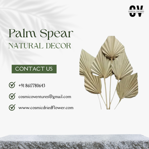 Arreglo de Flores Secas Popular de Primera Calidad Hecho a Mano con Varitas de Palma para Bodas, Halloween, Graduaciones, Eventos en el Hogar y Decoración de Oficina - Product Image 4