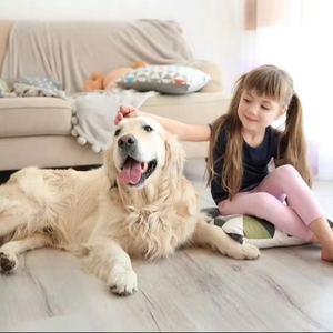Baldosas de vinilo SPC para mascotas, suelo de tablón impermeable con aspecto de madera, suelo SPC antideslizante de 6mm y 8mm - Product Image 1