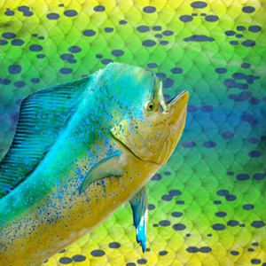Camisetas de Pesca de Material Suave, Camisetas de Pesca de Secado Rápido para Uso en Exteriores, Camisetas de Pesca con Estilo Moderno - Product Image 6