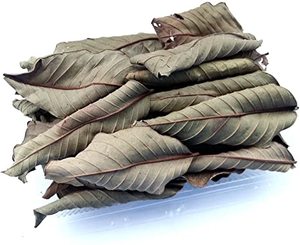 Feuille de goyave séchée pour usage à base de plantes Remède naturel pour la santé et le bien-être - Product Image 4