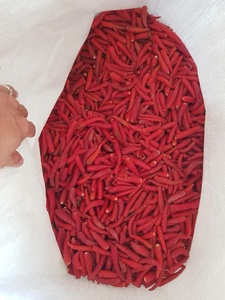 Pimientos picantes congelados de 99 Gold Data Chiles rojos y verdes Sin conservantes Exportador de Vietnam Suministro a granel - Product Image 2