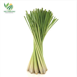 Viet Thien Phu Citronnelle biologique congelée fraîche et aromatique directement des serres au Vietnam Produit d'exportation - Product Image 5