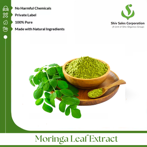 Suministro de polvo de extracto seco de Moringa a granel para exportadores e importadores en el sector de producción de alimentos, formulación de bebidas y cosméticos - Product Image 3