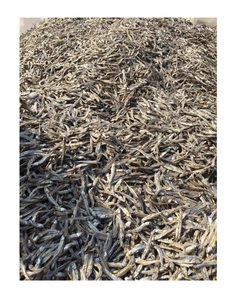 Anchoas secas enteras pequeñas Anchoa para bocadillos asiáticos Anchoa seca de alta calidad de Vietnam - Product Image 6