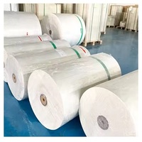 Fabricante de papel térmico 48gsm 55gsm 58gsm 60gsm 65gsm Rollos gigantes de papel térmico