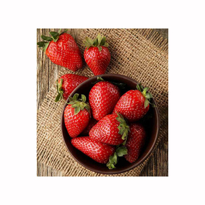 ผลเบอร์รี่สีแดงหวานฉ่ำสำหรับสตรอเบอร์รี่เกรดสูง - Product Image 1