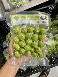 ดราก้อนพลัมแช่แข็งจากเวียดนาม | รสเปรี้ยวตามธรรมชาติ, สินค้าจำนวนมาก, คุณภาพการส่งออก | MS jessi - Product Image 2