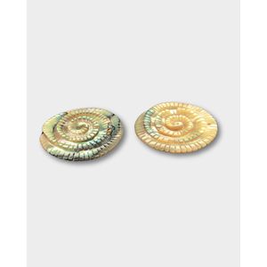 Perles d'ormeau fossile sculptées pour la fabrication de bijoux - Product Image 3