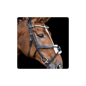 Bride pour cheval Vente à chaud Corde de cheval réglable Halter Durable Equestrian Riding Wear Bridle saisonnier - Product Image 1