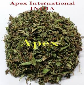 Hojas de Stevia Apex International, Hojas de Stevia Secas, Fabricante de Rajasthan, India - 24 Meses de Duración, Almacenar en un Lugar Seco - Product Image 2