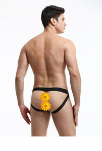 Offre Spéciale Sexy <span class=keywords><strong>éléphant</strong></span> Long nez pochette maille hommes Lingerie dos ouvert sous-vêtements pour hommes drôle Gay sous-vêtements tongs - Product Image 5