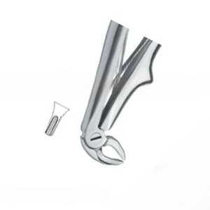 คีมถอนฟัน รุ่นที่ 7 คุณภาพสูง ผลิตจากสแตนเลสสตีล ได้รับการรับรองมาตรฐาน CE พร้อมโลโก้ตามสั่ง - Product Image 5