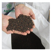 Poivre noir cru séché de qualité supérieure 550gl MC, saveur épicée et savoureuse, prix raisonnable, provenant du Vietnam