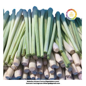 Hierba de limón congelada de origen vietnamita cuidadosamente seleccionada de fragancia natural y congelada por expertos para exportación en paquetes a granel - Product Image 5