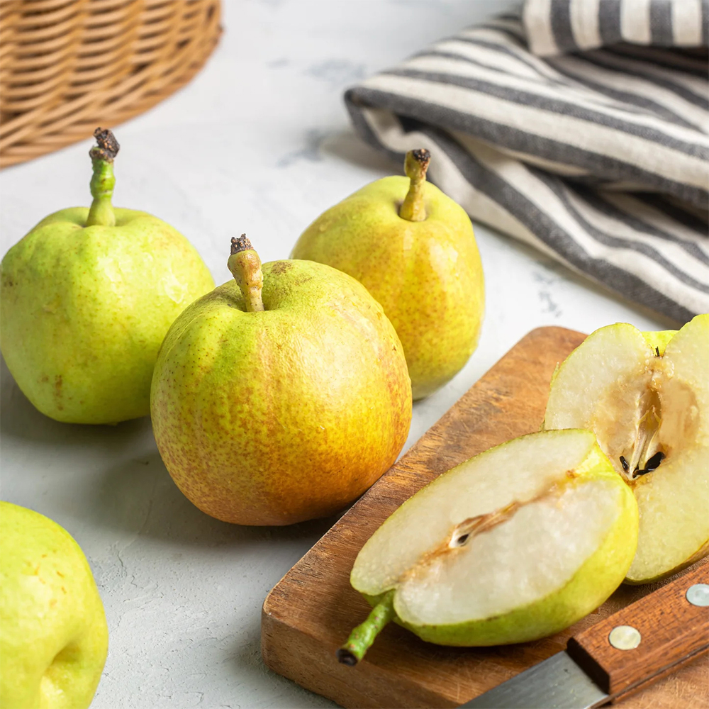 autumn honey pear premium by wangshan