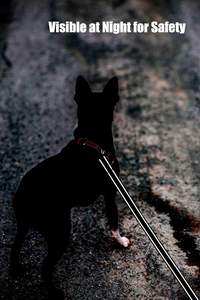 Laisse pour chien robuste pour chiens de taille moyenne et grande avec poignée rembourrée douce, durable et anti-emmêlement pour l'entraînement et la course - Product Image 6