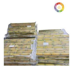 Vente: Canne à sucre congelée IQF du Vietnam bâtonnets de canne à sucre pelés de qualité supérieure canne à sucre entière fraîche pour la production et l'exportation de jus - Product Image 1