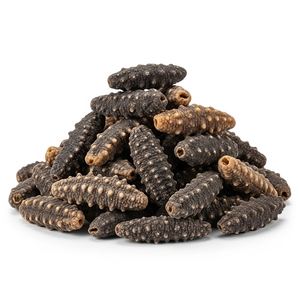 Concombre de mer séché de qualité supérieure, concombre de mer séché de qualité supérieure à vendre, fruits de mer sauvages séchés à prix compétitif - Product Image 5