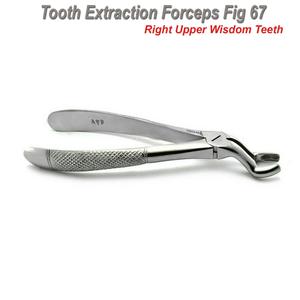 คีมถอนฟันสแตนเลสใหม่ล่าสุด - Product Image 2