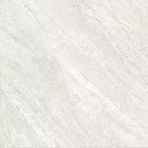 Vistaar 60x60cm Poli Dyna Beige Texture très brillante Carreaux de sol 600x600 Intérieur mat rustique du fabricant indien - Product Image 2