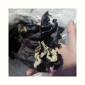 Cloud Ear Mushroom Dried Form for Cooking Food Preparation and Processing Industry Application - Product Image 3