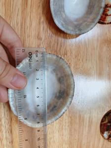 Coquille de limpette faite à la main Vietnam Écologique Coquillage naturel Commande en gros Exportation - Product Image 3