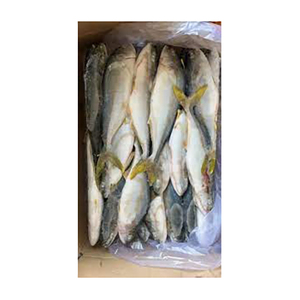 Yellowtail congelado venta al por mayor de mariscos de calidad de exportación para los mercados internacionales - Product Image 2