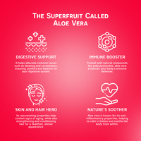 Aloë Vera Drank Met Aardbeiensap 16.9 Floz Vinut Fles (Pak Van 12) Gratis Monster Klaar Om Te Drinken Wereldwijde Export