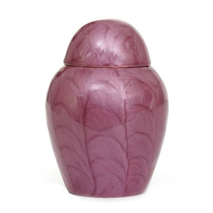 Venta caliente tamaño pequeño infantil cenizas urna Funerarl Memorial Metal recuerdo con caja de terciopelo urna de entierro - Product Image 5