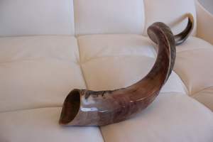 Shofar authentique en corne de buffle, fabriqué avec soin, durable, écologique, pour les fêtes, les cultes, les rassemblements spirituels, à des fins sacrées - Product Image 6