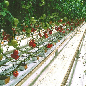 Agriculture hydroponique laine de roche 100x10x10cm serre tomate concombre laine de roche sac de culture - Product Image 1