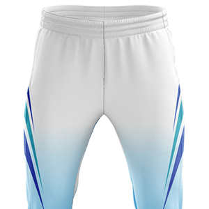 Nouveau modèle de maillot et pantalon de cricket, design personnalisé, kits d'uniformes de cricket, impression numérique personnalisée, 100% polyester, séchage rapide - Product Image 6