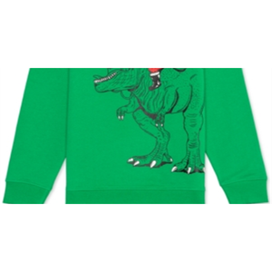 Felpa per Bambini Jem Design Santa Rex Verde Kelly Taglia X-Large in Jersey di Cotone Stile Casual per Bambini per la Stagione Autunnale - Product Image 3