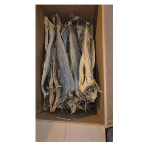 Stockfish entier séché - Fournisseur en gros de stockfish entier - Product Image 3